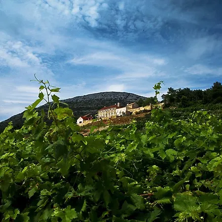 Saints Hills Winery Oskorusno